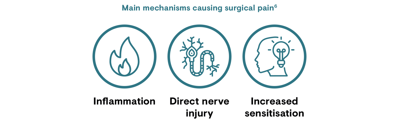 Main mechanisms causing surgical pain